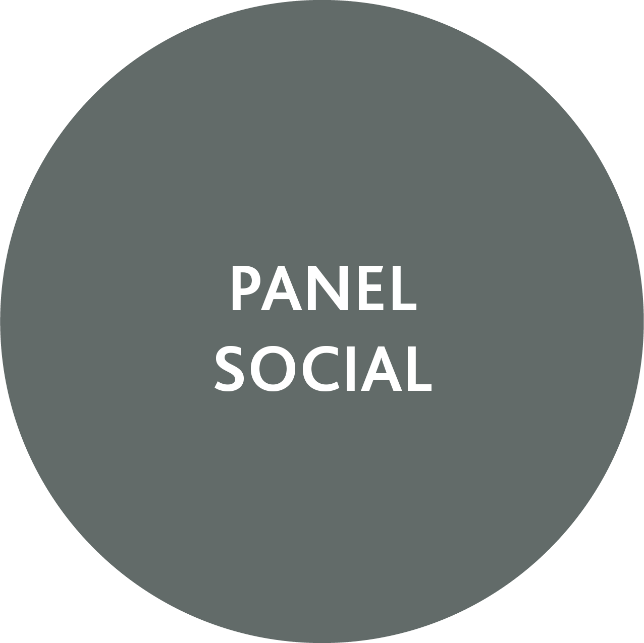 Panel social